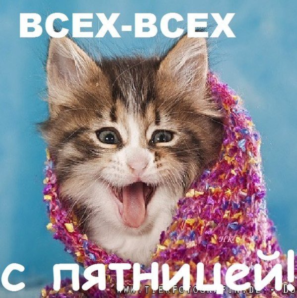 С зимней пятницей прикольные