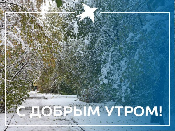Доброе утро снег