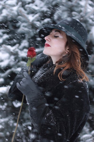 Леди Сноу леди Сноу