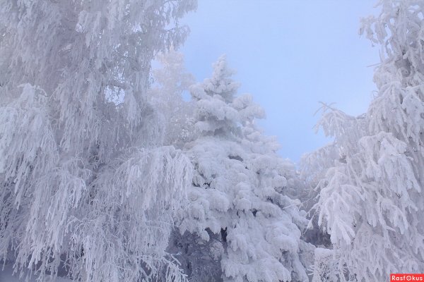 Снежная кайма