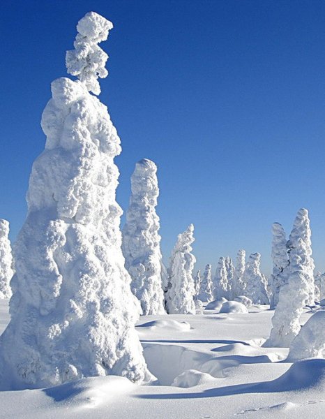 Снежная кайма фото