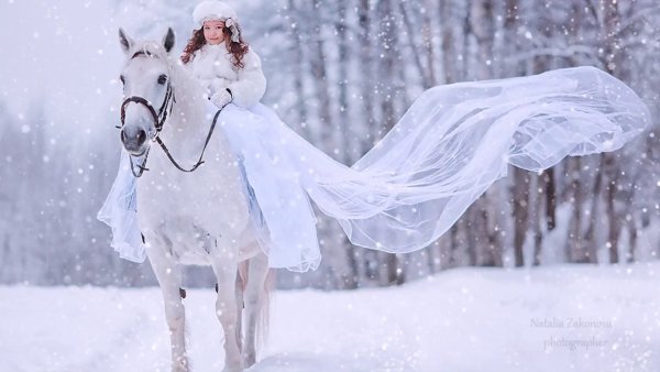 Фотосессия с белой лошадью