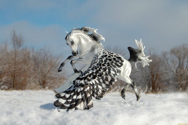 Снежная лошадь