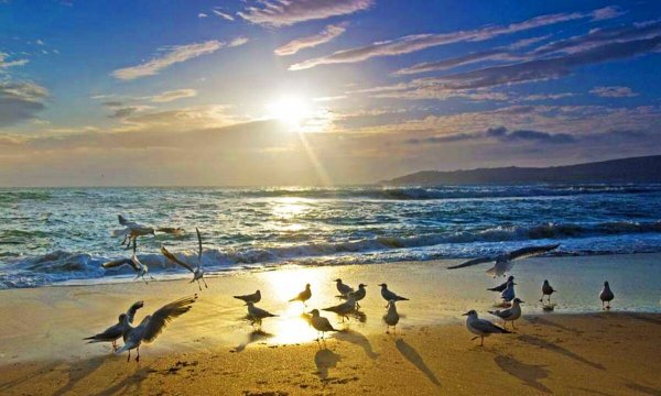 Феодосия золотой пляж