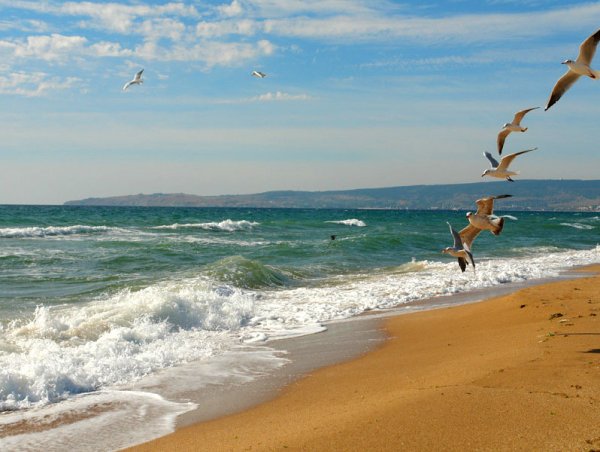 Феодосия золотой пляж