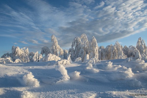 Заснеженные просторы