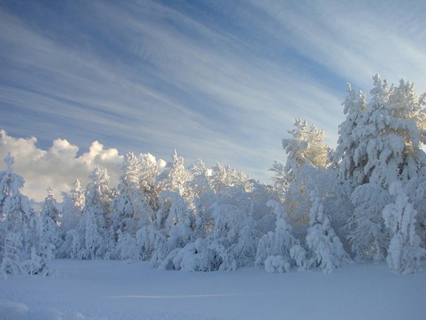 Заснеженные просторы