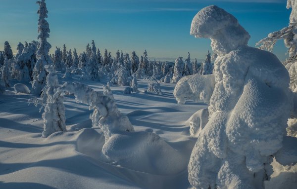 Снежные просторы фото