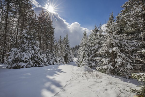 Зимние просторы