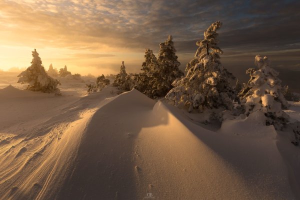 Зима в России