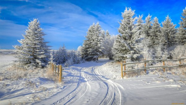 Зима в России