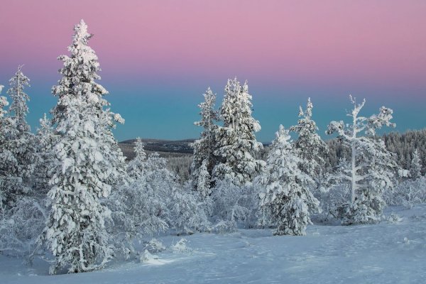 Природа Татарстана зимняя