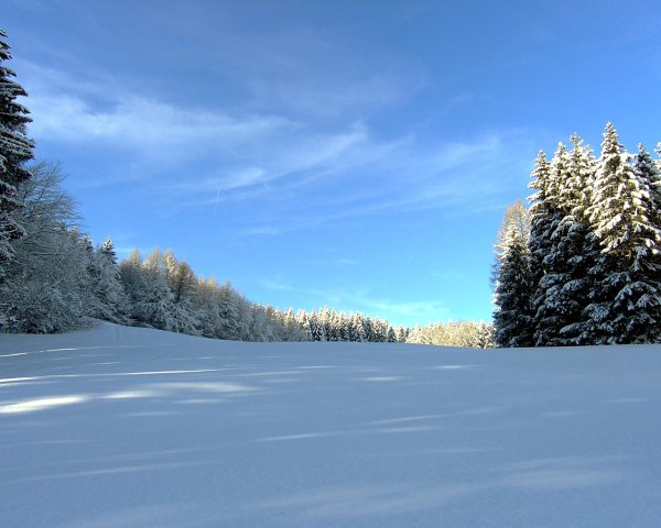 Зимние просторы