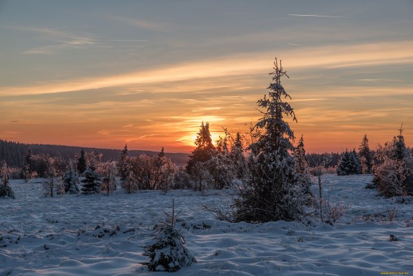 Hautes Fagnes зимой