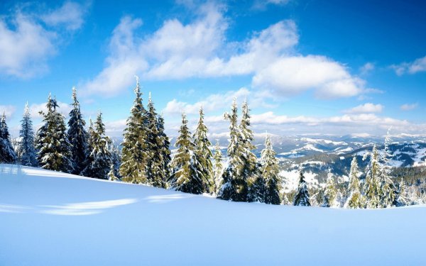 Зимний пейзаж