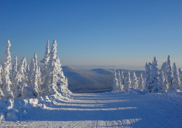 Шерегеш Тайга