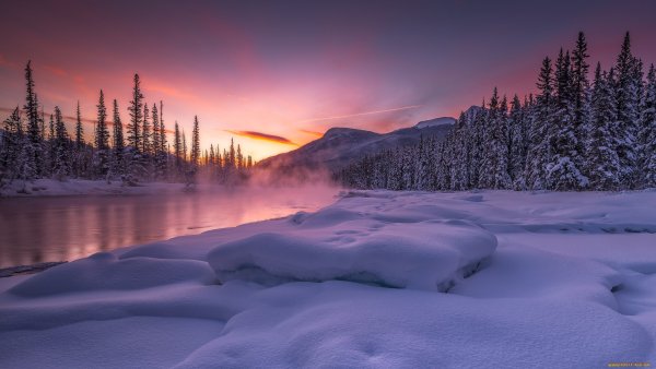 Тайга зимой