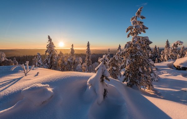 Заснеженные просторы