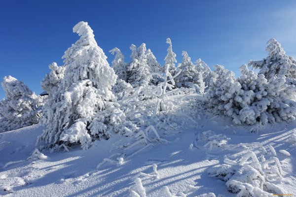 Заснеженные просторы