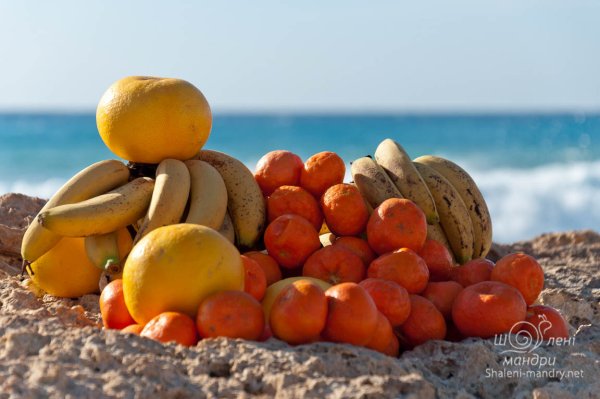 Тарелка с фруктами на море