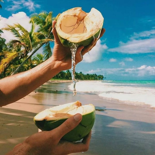 Кокос на пляже