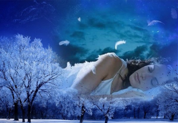 Сон в зимнюю ночь