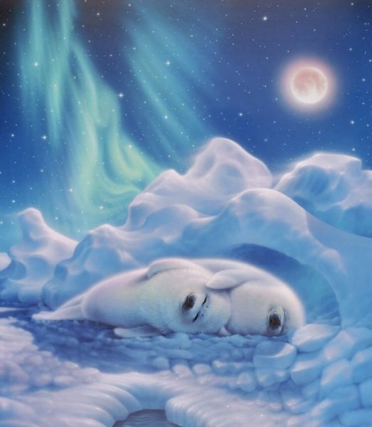 Кирк Рейнерт Северное сияние