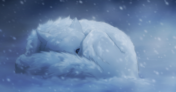 Белый Лис в снегу арт