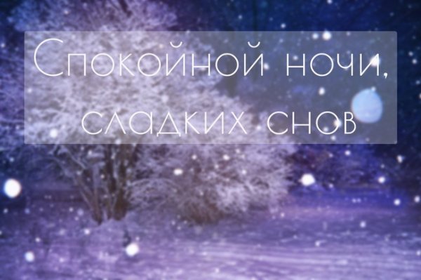 Спокойной зимней ночи