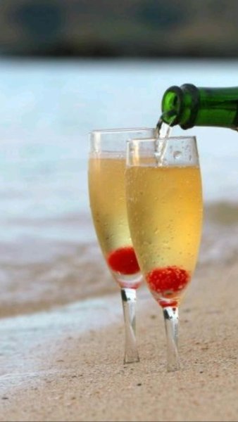 Шампанское на берегу моря
