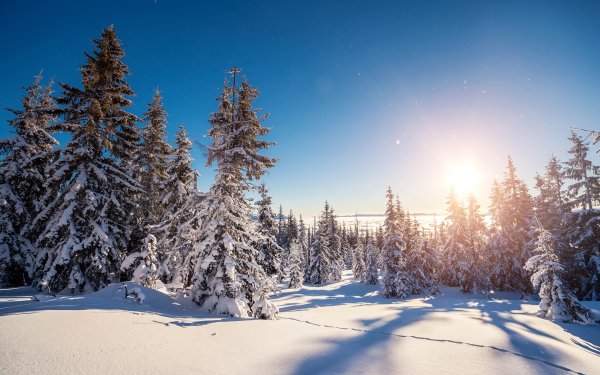 Зимняя природа