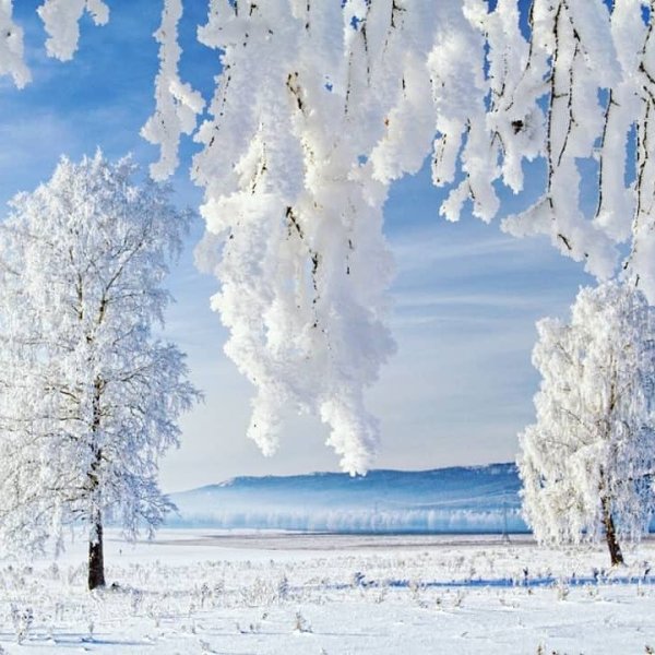 Зимние мотивы