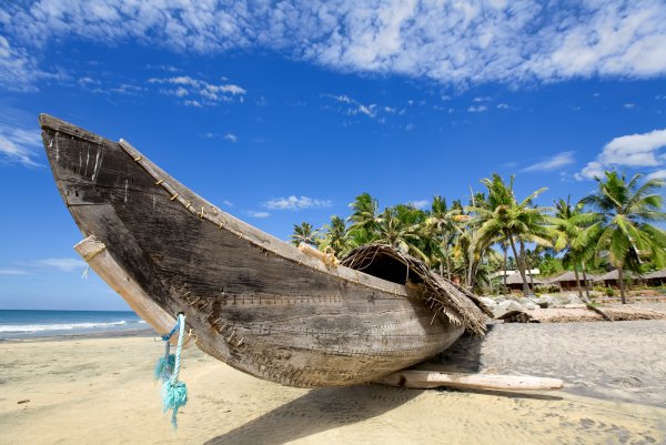 Пальмы море лодка