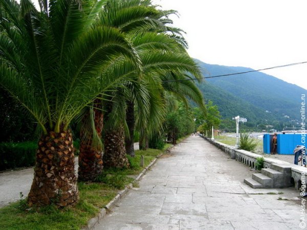 Набережная новая Гагра Абхазия