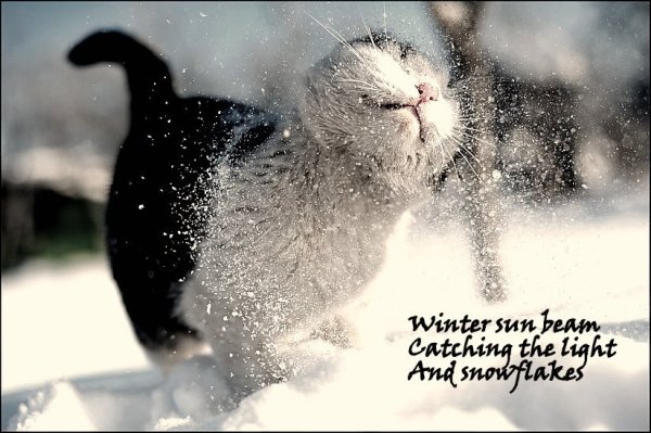 Доброе утро воскресенье зима