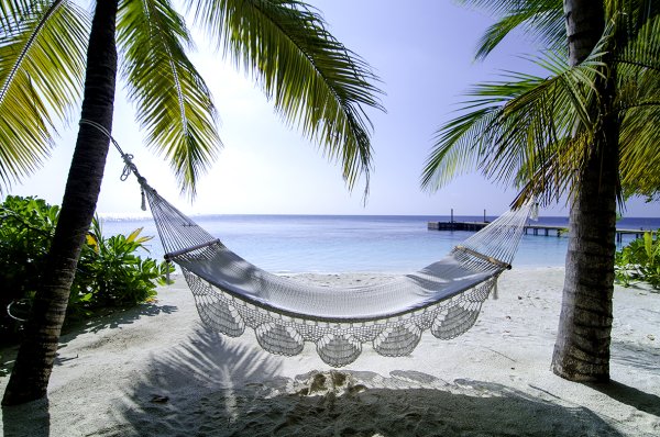 Море пальмы гамак