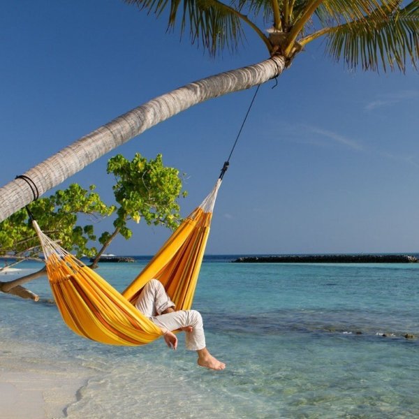 Гамак под пальмой