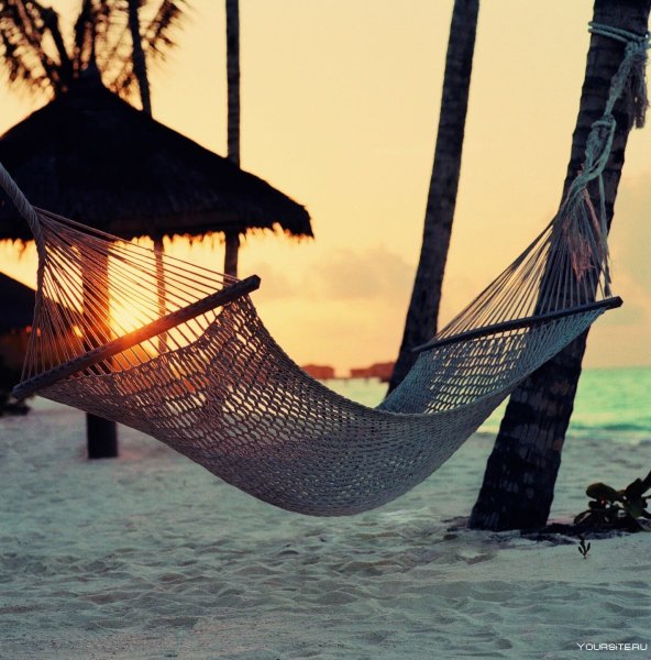 Гамак на пляже