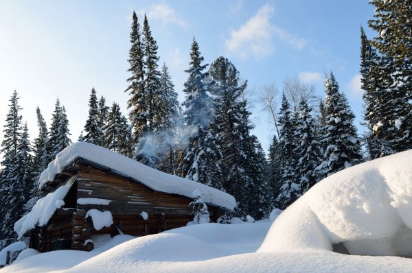 Зимняя Красноярская Тайга
