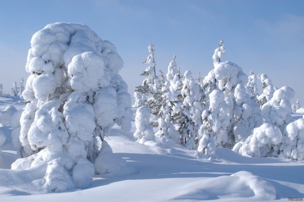 Снежные зимы в Сибири