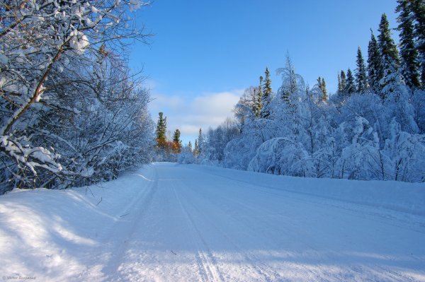 Зимняя Сибирская дорога