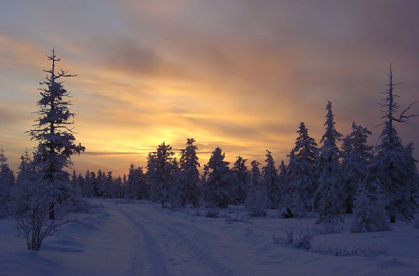 Зимний пейзаж Тайга