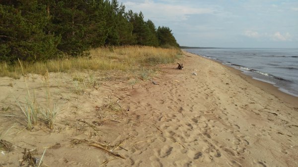 Речной пляж