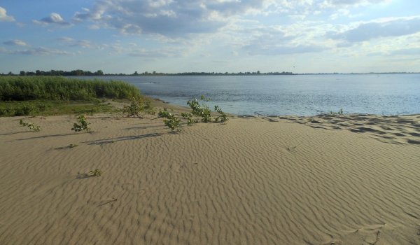Песчаный берег Волги Балаково