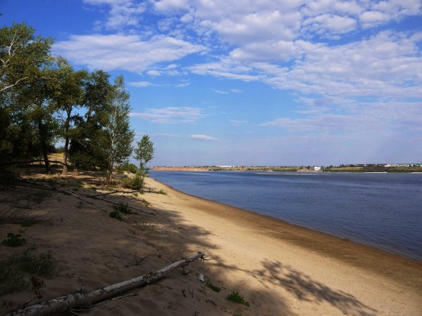 Остров Сарпинский Волгоград