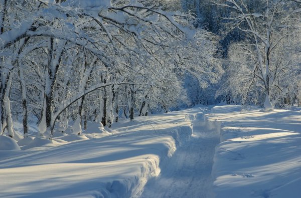 Снежная тропинка