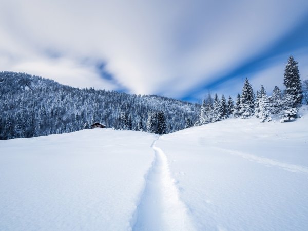 Снежная тропа