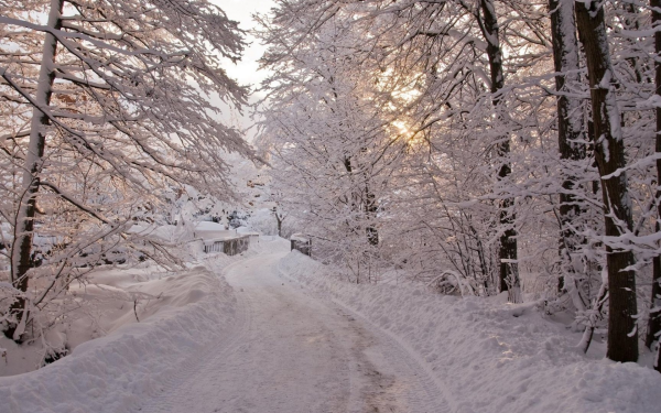 Красивая зимняя тропинка