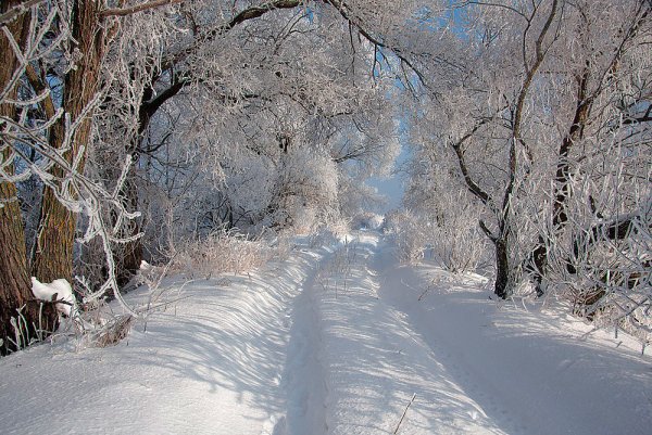 Снежная морозная зима