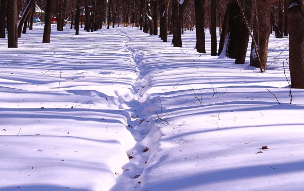 Тропинка в снегу